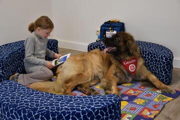 ein Mädchen liest einem Hund vor