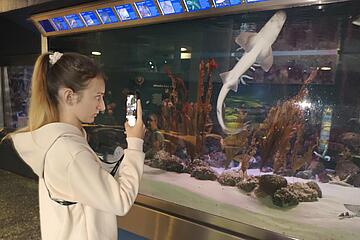 Mädchen vor Aquarium