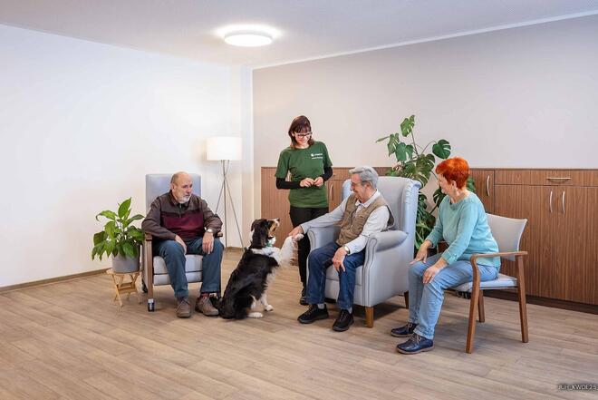 Die Hunde leisten stets gute Gesellschaft.