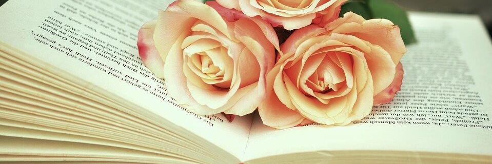 Drei rosafarbene Rosen liegen auf einem aufgeschlagenen Buch.