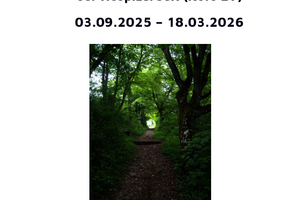 Waldweg mit Daten des neuen Kurses