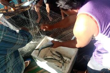 Ein Eimer voller Fische