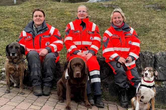 Drei Teams der Rettungshundestaffel der Johanniter Mittelfranken sitzen mit ihren Hunden stolz und fröhlich auf einer Steinmauer. Vornedran die sitzen die Rettungshunde unterschiedlicher Rassen. Im Hintergrund ist ein Rasen zu sehen. 
