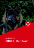 Hund vor grünen Blättern, Text: „Chuck – Der Boss“.