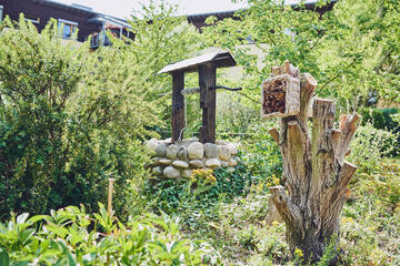 Im grünen Naturgarten sind Brunnen, ein vertrockneter Baumstamm sowie ein Insektenhaus im Johanniter-Haus Köln Porz zu sehen.