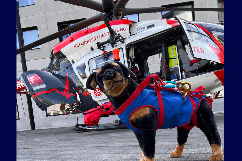 Hund vor einem Hubschrauber auf dem Leitz-Park-Gelände beim 6. Symposium der Johanniter Luftrettung