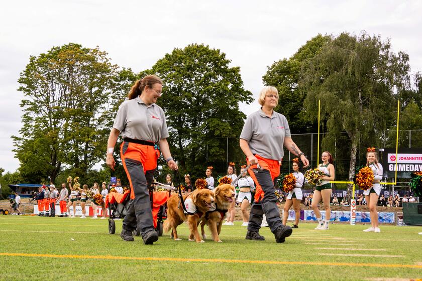 Hunde der RHS bringen Football aufs Spielfeld