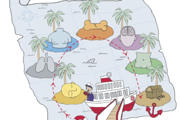 2007 setzen die Johanniter neue Impulse in der Erste-Hilfe-Ausbildung. Ein Teil des Konzepts bilden sogenannte Erste-Hilfe-Inseln.