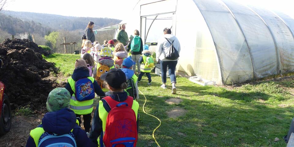 Döörper Pänz auf dem Weg in ein Gewächshaus der Lebensgemeinschaft Eichhof