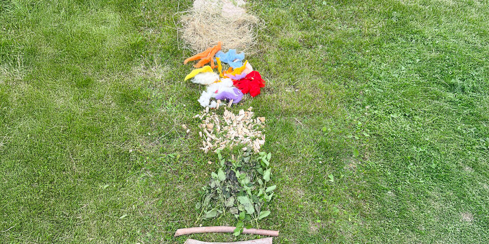 Auf einem Rasen liegen Naturmaterialien wie Äste, Nüsse, Holzstücke und Heu.