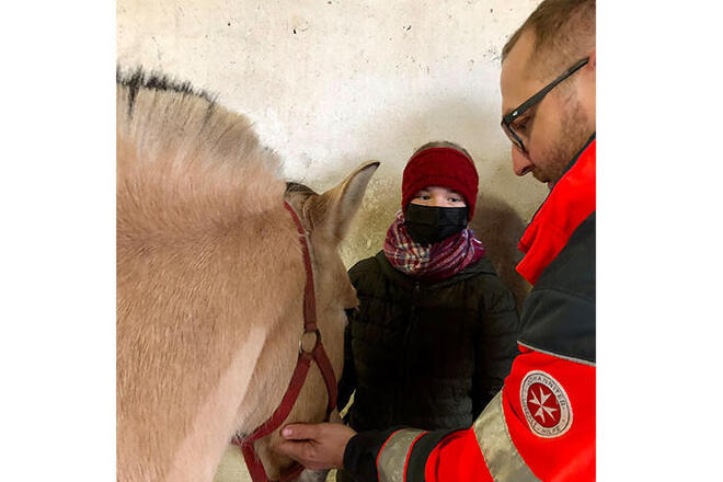 Erste Hilfe am Pferd