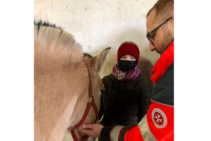 Erste Hilfe am Pferd