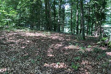 Wald Johanniter-Waldkindergarten "Märchenzwerge"