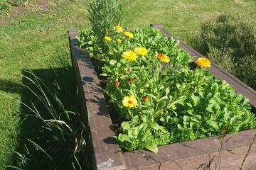Hochbeet im Garten der Johanniter-Kinderinsel Reckendorf