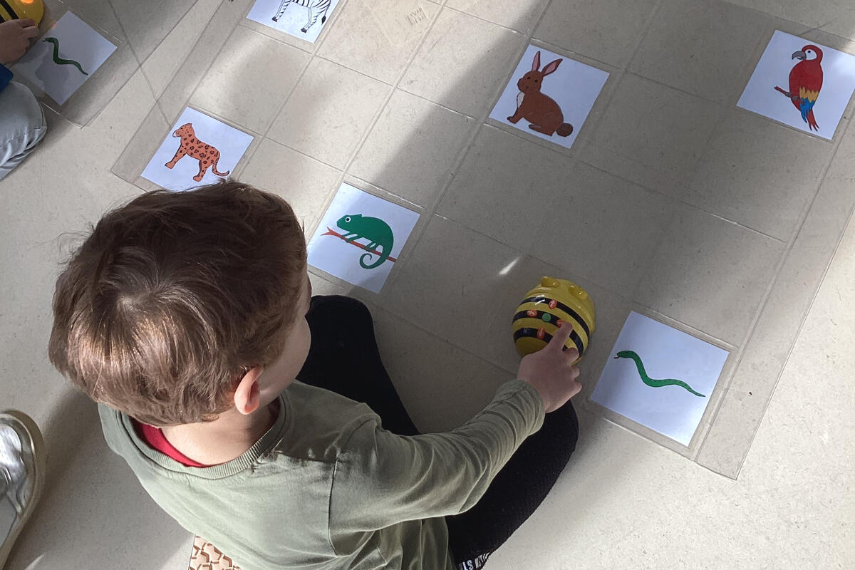 Erste Schritte in der Welt der Algorithmen