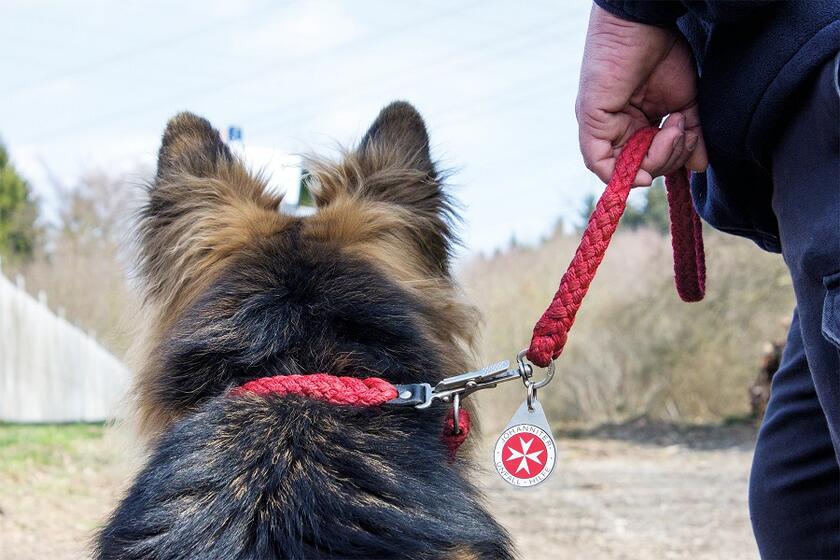 Die Johanniter Rettungshundestaffel im Einsatz.