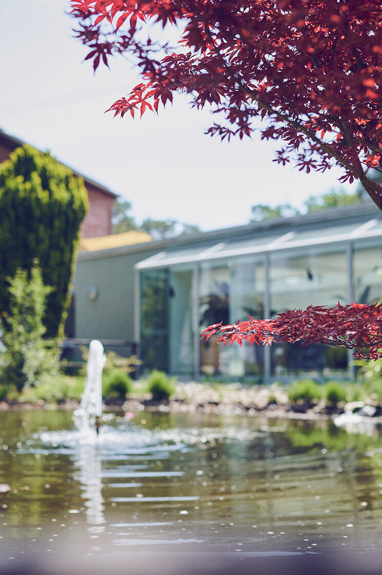 Über einen kleinen Gartenteich schaut man auf das Johanniterhaus Celle