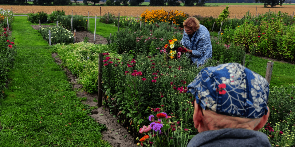 Eine Frau steht in einem Blumengarten und pflückt Blumen. Ein Mann ist von hinten zu sehen, wie er ihr zusieht.