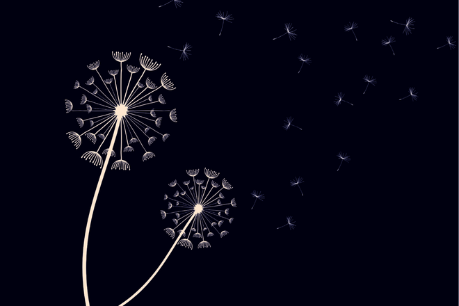 Eine Pusteblume grafisch dargestellt. Die Samen verteilen sich in der Luft.