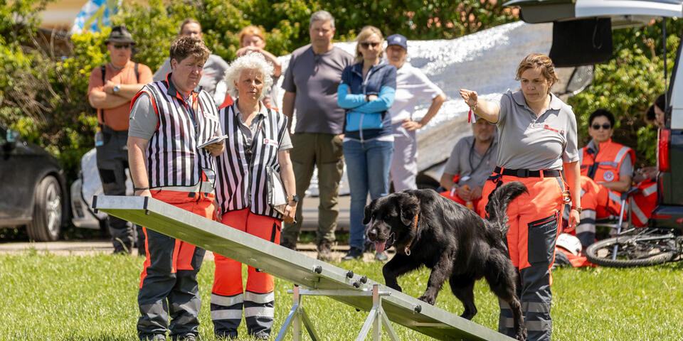 Johanniter-Rettungshundeführerin lotst schwarzen Hund über Hindernis im Freien.