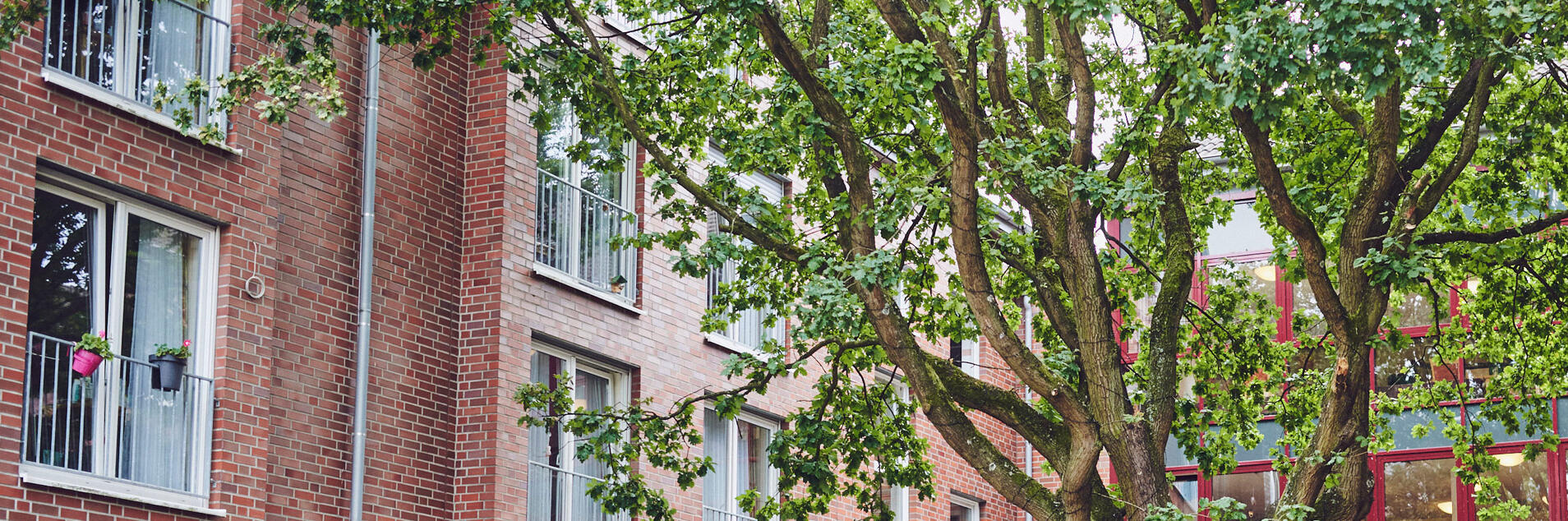 Innenhof mit großem Baum und Bank zum Ein- und Durchgang der zwei Häuser im Johannter-Zentrum Kaarst.