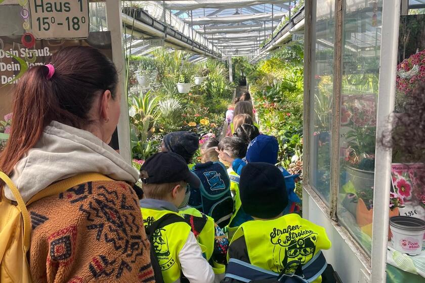 Die Kindergarten Kinder betreten die Gärtnerei