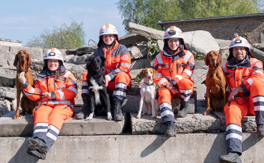 Bildimperssion Mitglieder der rettungshundestaffel mit Rettungshunden auf einer Mauer