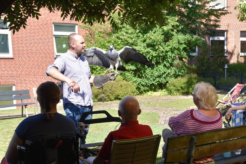 ein Falkner hält einen Andenbussard auf dem Arm, Gäste der Johanniter-Pflegeeinrichtungen schauen zu