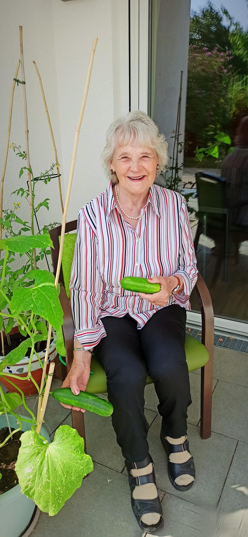 Gurkenernte in der Tagespflege Königsbrunn