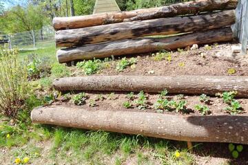 Gefällte Bäume Johanniter-Kinderkrippe "Bergzwergerl"