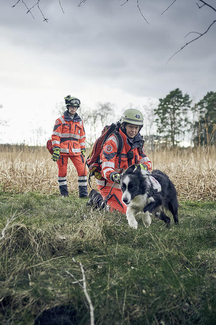 Zwei Mitglieder der Rettungshundestaffel stehen an einem Waldrand. Eine der beiden gibt einem Hund im Vordergrund ein Kommando, aufgrund dessen er in den Wald hineinläuft.