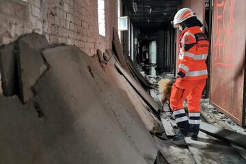 Bildimpression Rettungshundeteam