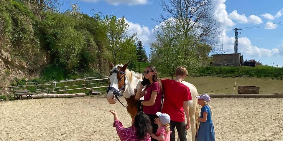 Familie mit Kindern lernen am Pferd wie man kommuniziert