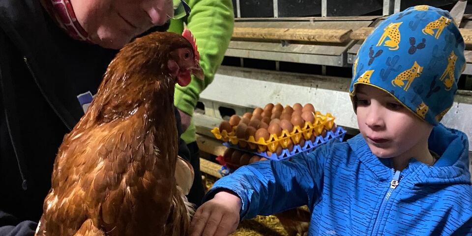Ein Kind macht Bekanntschaft mit einem Huhn
