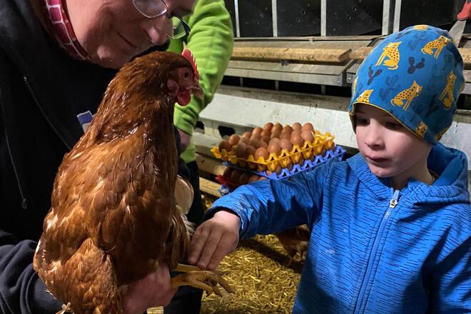 Ein Kind macht Bekanntschaft mit einem Huhn