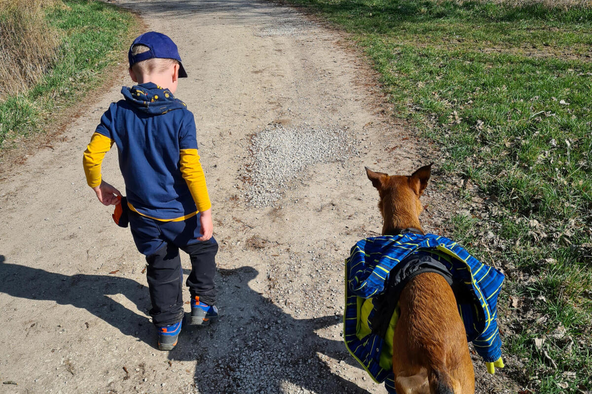  Foto zu Kindergarten-Hund Ruby 