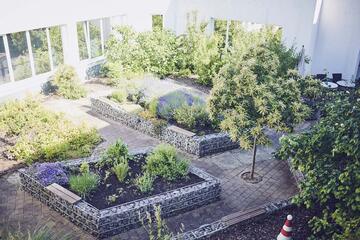 Blumenbeete im Garten des Johanniter-Hauses Waibstadt