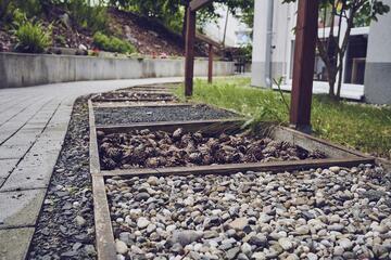 Barfußpfad im Garten 