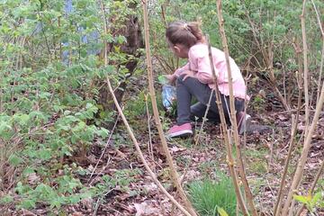 Ein Mädchen sucht im Gebüsch nach versteckten Ostereiern