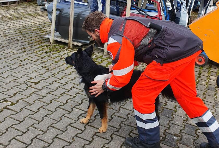 Hundeführer mit Hund 