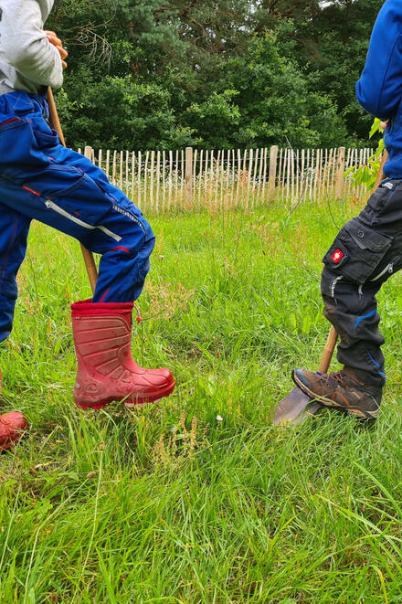Kinder pflanzen zum Abschied der Vorschulkinder einen Baum