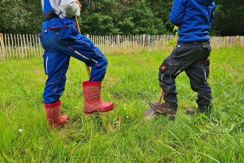 Kinder pflanzen zum Abschied der Vorschulkinder einen Baum