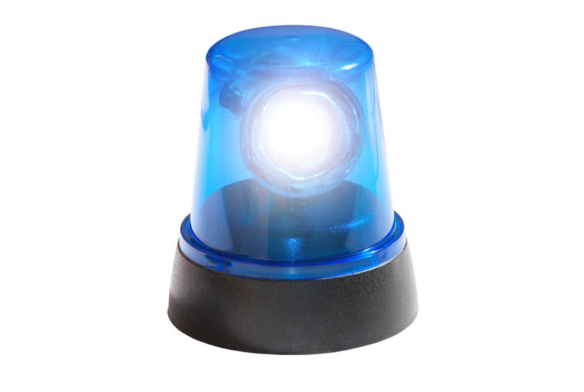 Logo der Blaulichtzwerge