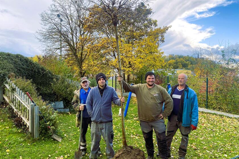 Arbeiter mit einem Baum