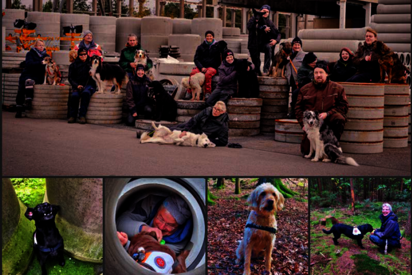 Collage aus mehreren Bildern: Mitglieder der Johanniter-Rettungshundestaffel Mittelfranken trainieren mit ihren Suchhunden auf einem Baustofflager und im Wald. Die Fotos zeigen die Teams bei unterschiedlichen Übungen, Gruppenfotos mit Mensch und Hund sowie erfolgreiche Suchaktionen.