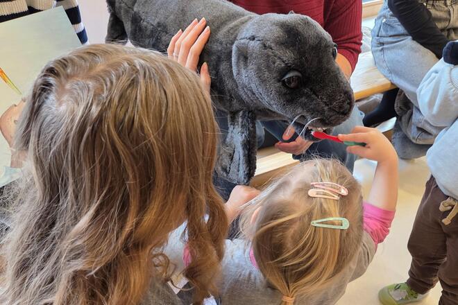 Ein Kind putzt dem Stofftier Goldie mit einer Zahnbürste die Zähne.