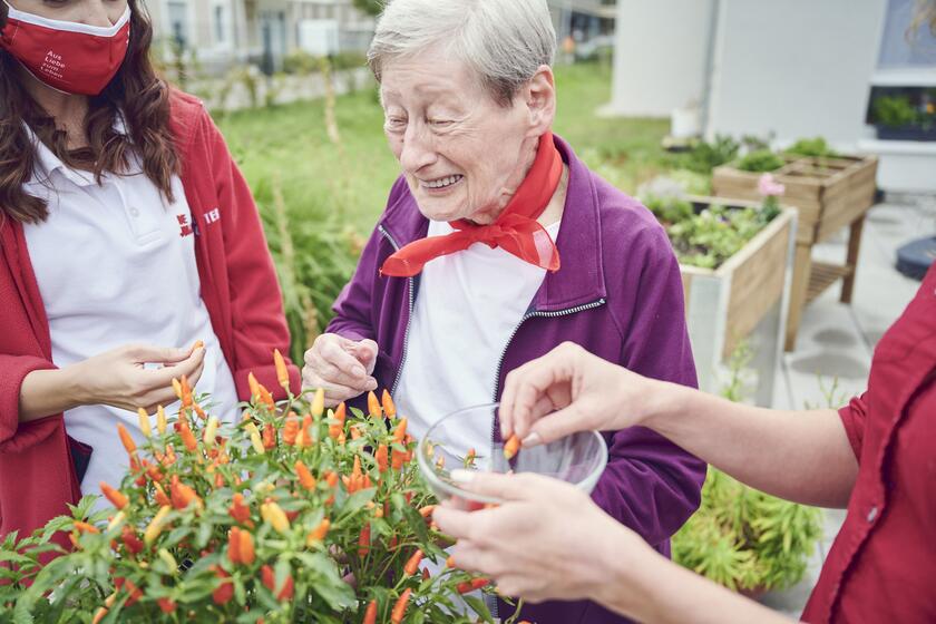 Eine Bewohnerin erntet Gemüse