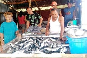 Ein Verkaufsstand mit vielen Fischen