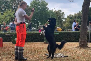Bildimpression Rettungshundeteam
