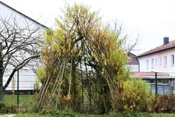 Naturtippi Johanniter-Kinderkrippe "Turmwichtel"